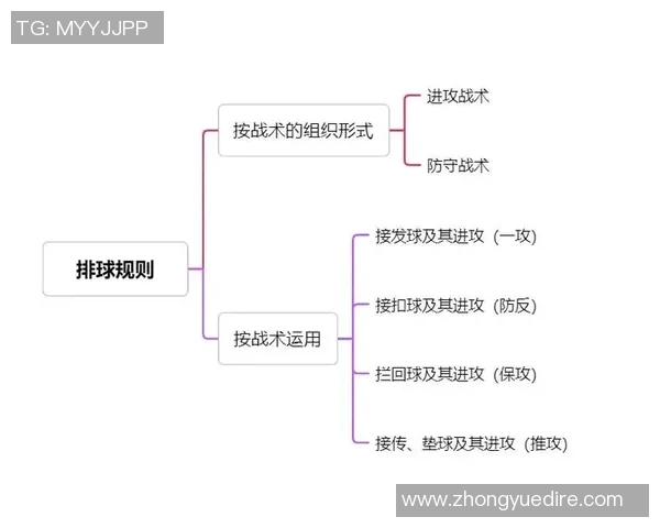 深入分析武汉排球队整体压制打法的战术特点与实施效果 深入分析武汉排球队整体压制打法的战术特点与实施效果