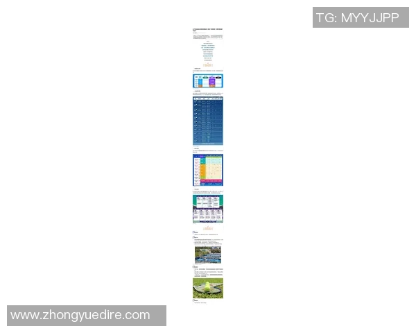 运动最新数据上海网球队灵活性争议引发热议各方观点碰撞解析 运动最新数据上海网球队灵活性争议引发热议各方观点碰撞解析