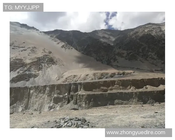 今年运动数据周丽专访飞盘运动的成长与挑战之路回顾